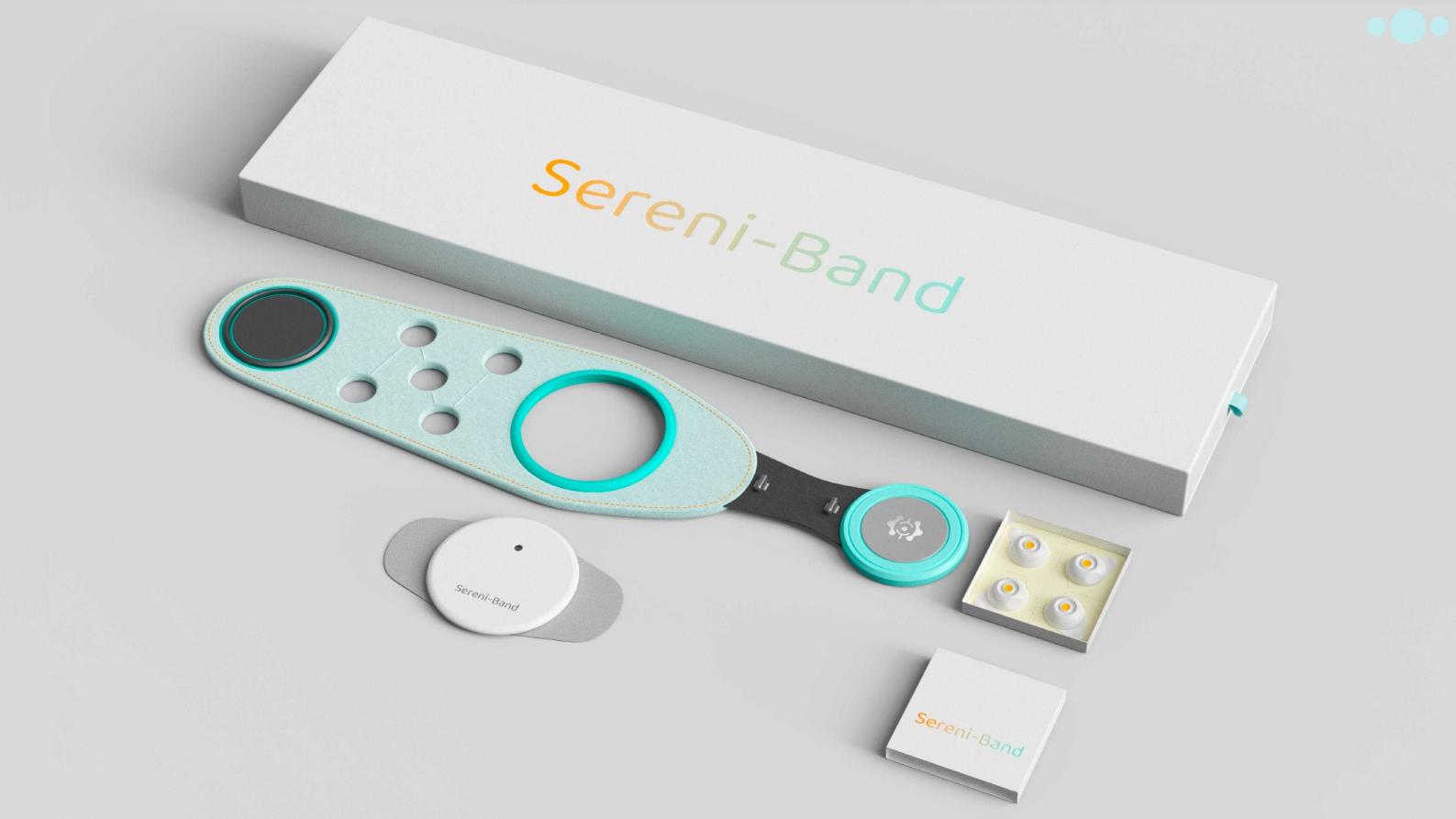 Sereni-Band 穿戴式胰岛素注射器 — 第 8 页