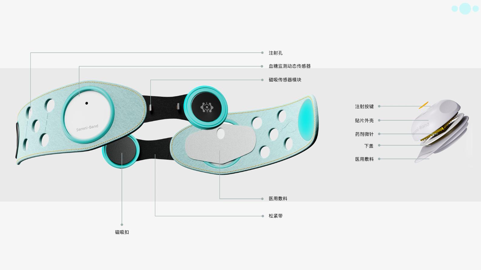 Sereni-Band 穿戴式胰岛素注射器 — 第 9 页
